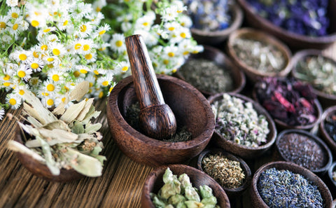 10 good herbs and their effects